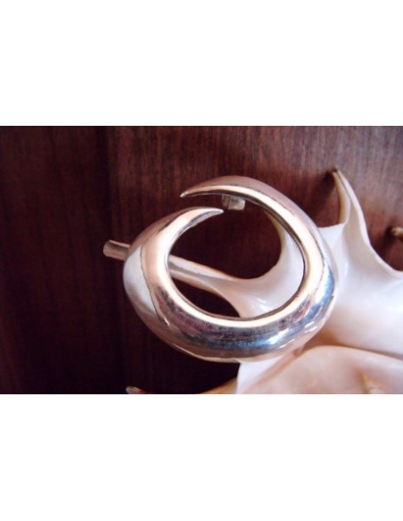 Colgante de plata y PLATA OVALADA