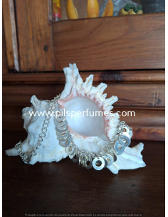 gargantilla Collar de plata  y 35 ARANDELAS 2