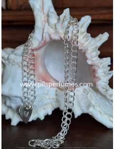 gargantilla Collar de plata  y pequeño corazón